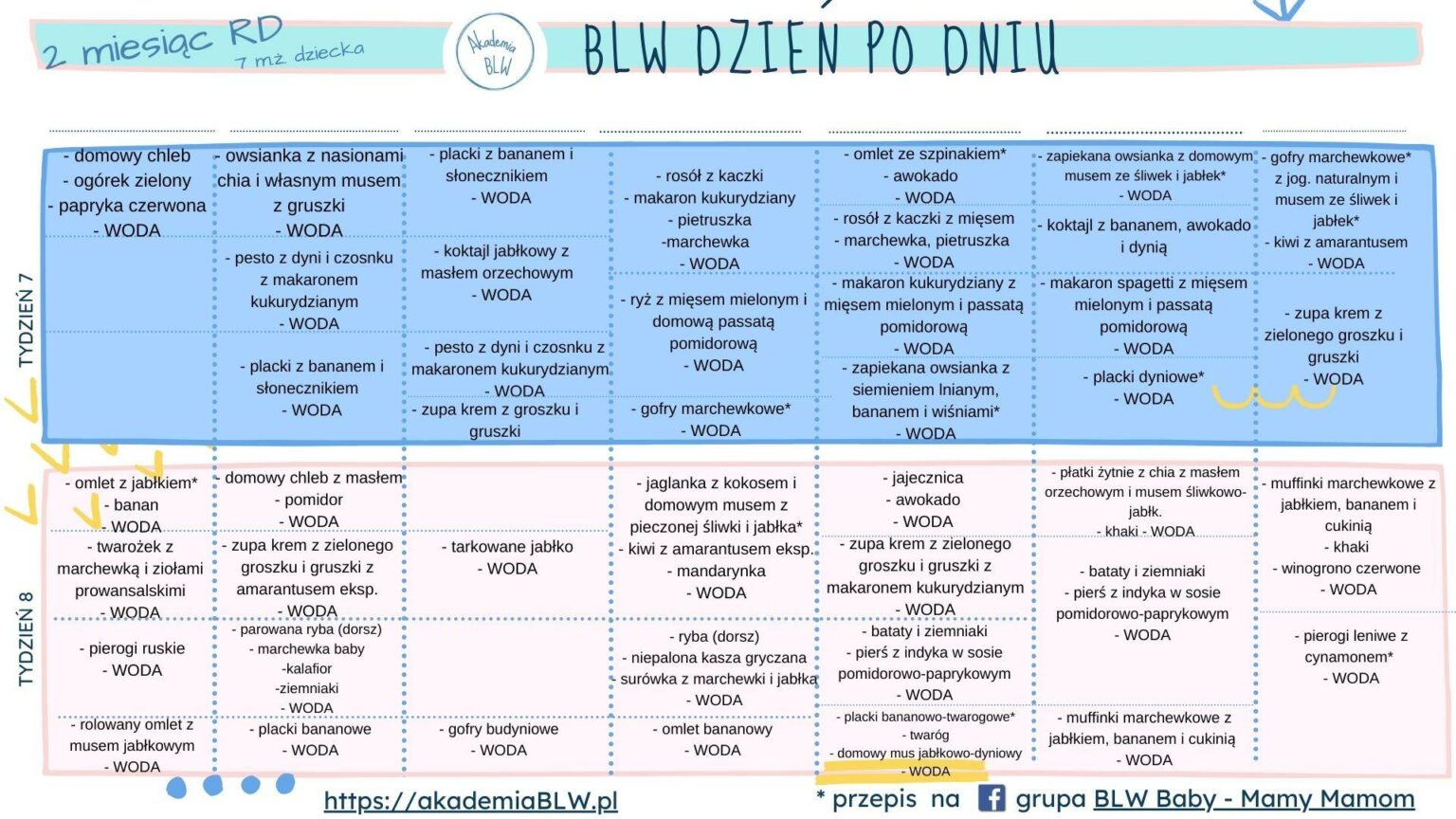 Pomysły na posiłki BLW (2 miesiąc rozszerzania diety) Akademia BLW